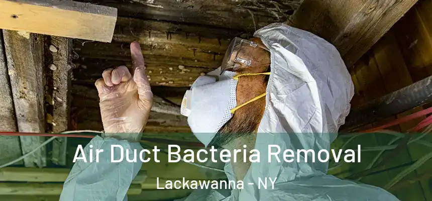  Air Duct Bacteria Removal Lackawanna - NY