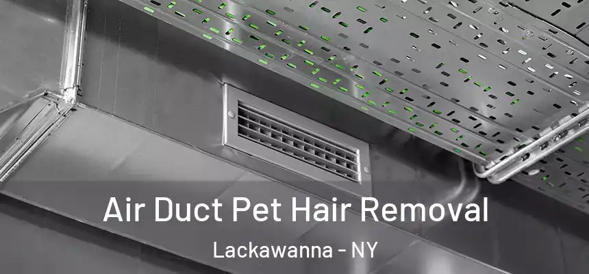  Air Duct Pet Hair Removal Lackawanna - NY