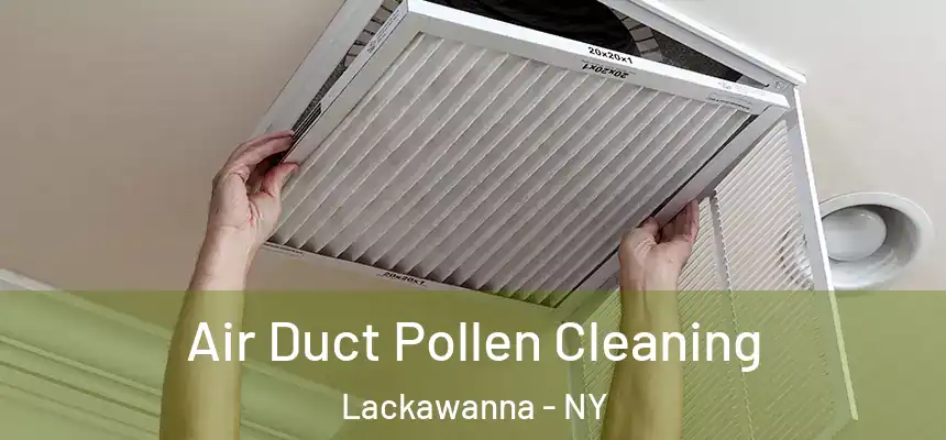  Air Duct Pollen Cleaning Lackawanna - NY