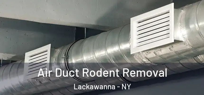  Air Duct Rodent Removal Lackawanna - NY