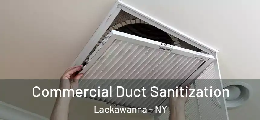  Commercial Duct Sanitization Lackawanna - NY