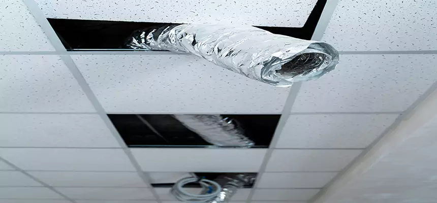 Affordable HVAC Sanitizing After Pest Removal in Lackawanna