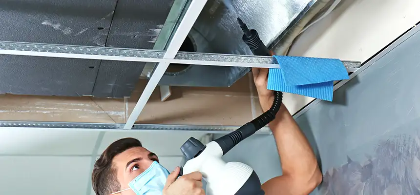 Our Air Duct Rodent Removal Services in Lackawanna, NY