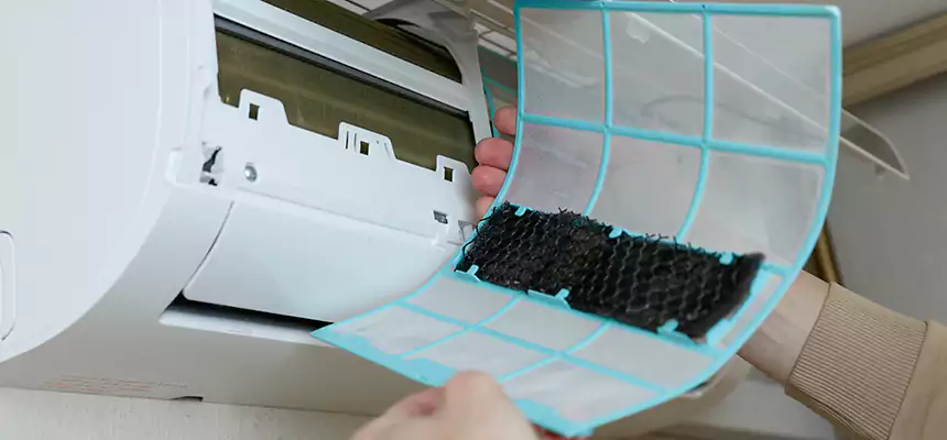 Gentle Ductwork Odor-Control Pet Dander Duct Cleaning in Lackawanna, NY