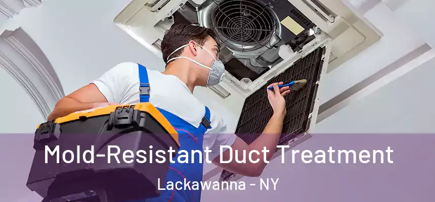  Mold-Resistant Duct Treatment Lackawanna - NY