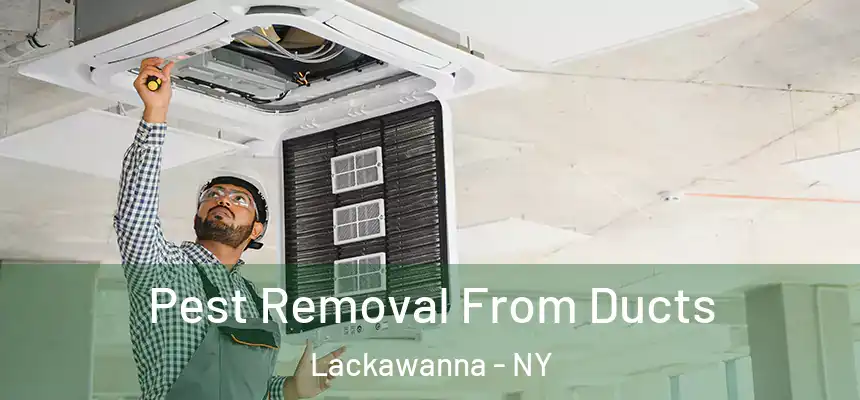  Pest Removal From Ducts Lackawanna - NY