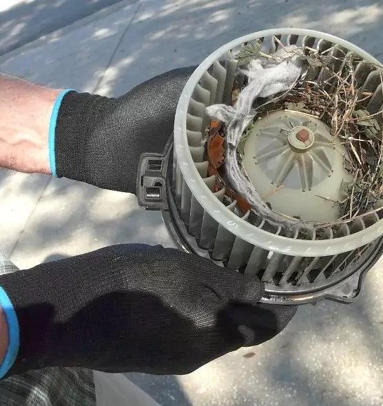 About Air Duct Mice Removal in Lackawanna, NY