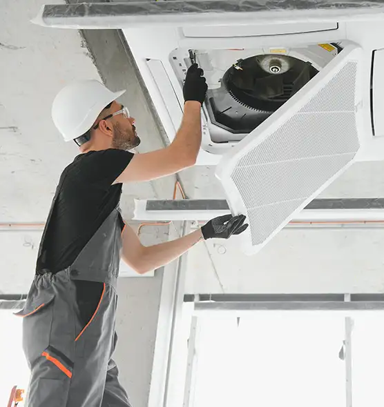 About Air Duct Rodent Removal in Lackawanna, NY