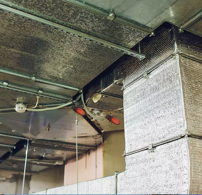 Why Homeowners & Businesses Trust Us in Lackawanna, NY?