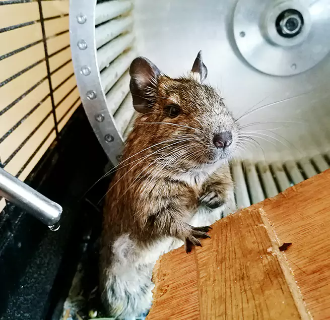 Why Homeowners & Businesses Trust Us Lackawanna, NY?