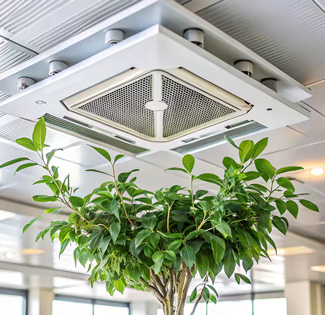 Why Homeowners & Businesses Trust Us in Lackawanna, NY?